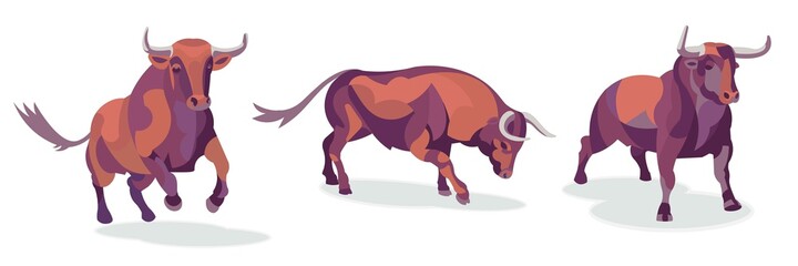 A set of bulls standing in different poses. Vector illustration