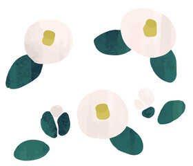 シンプルでかわいい白い椿のイラスト　装飾素材　和風