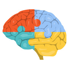 Brain, creative, colorful brain image in the form of puzzles. Vector, cartoon illustration. Vector.