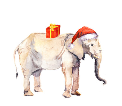Cute new year elephant in red santa's hat with red present box. Watercolor christmas animal