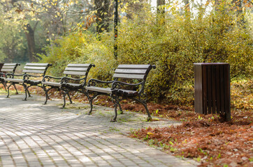Holiday benches in the city park 