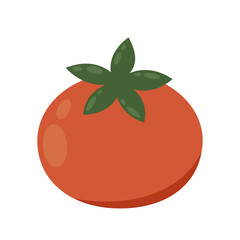 Tomato vector. Tomato on white background. Tomato logo design.