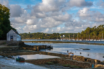 parc à huîtres de Belon