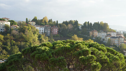 Fototapeta na wymiar view of the tarabya istanbul