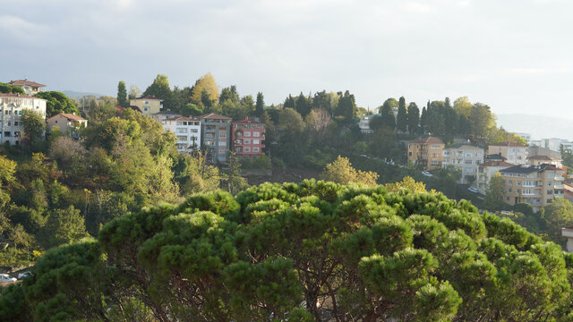 view of the tarabya istanbul