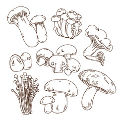 Mushroom collection doodle
