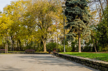 Panorama of the city park in Novi Sad 