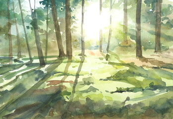 Watercolor drawing of a forest with sunbeams and scenic shadows. Sunlight between tree branches. Watercolor landscape.