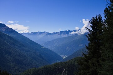 Fototapeta premium An alpine panorama with mountains and clouds seen from a coniferous forest on a sunny summer day (Alps, Trentino, Italy, Europe)