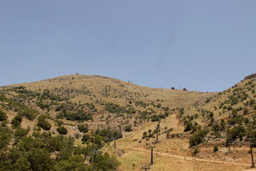 The Hermon Mount connects three countries Syrian, Lebanon and Israel. At 1348 m high, cold and snowy in winter. A spring look at wildlife in a conflicted place that despairs for peace.
