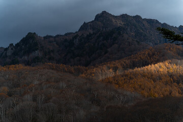 暗い日に光が差し込む秋の戸隠