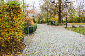 Park, autumn, shrubbery, stone pavement, gate.