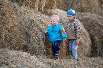 Naklejka na ściany i meble children play with a stack of straw at sunset