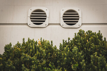 Frog bush with air duct eyes hiding funny secret creative smiling fun playing touching observing...