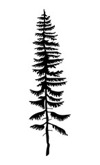 Black silhouette of fir-tree. Hight black pine. Simple tree icon. Nature concept. Pine tree with needles isolated at white background. Decorative element. Plant shadow. Vector illustration