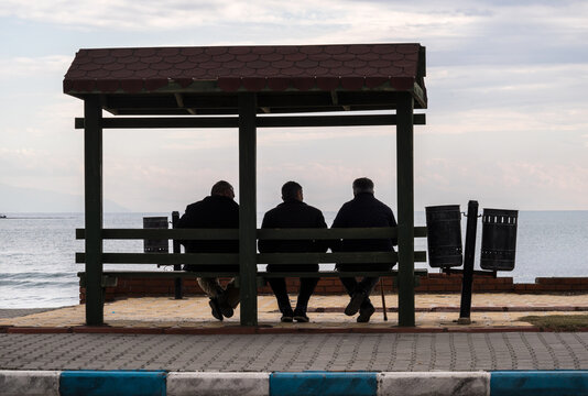 at the seaside