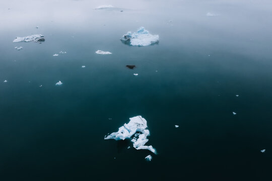 Minimalist aerial of icebergs in Iceland 