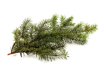 Pine branches isolated on white background, seamless pattern. Christmas and New Year background.