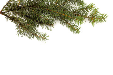 Pine branches isolated on white background, seamless pattern. Christmas and New Year background.