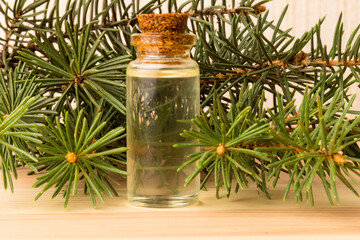 Spruce essential oil in a bottle, with fresh spruce twigs on wooden background