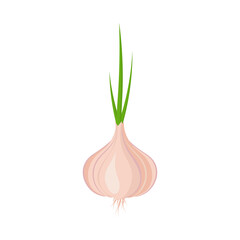 Garlic, and green onion, icon isolated on white background. Concept vegetable agriculture. Realistic cartoon design. Vector illustration.