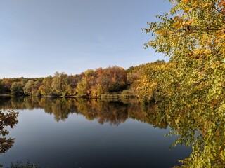 Пруд Либерский