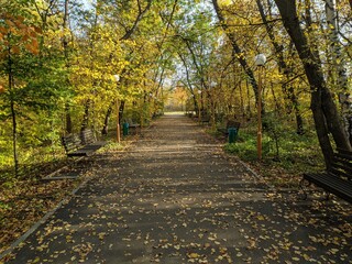 ДОЛ Березки