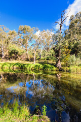 Onkaparinga River National Park walking trail on a bright day