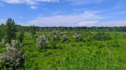 Красивое поле