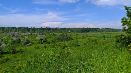 Красивое поле