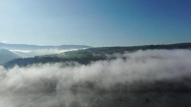 Drohnenflug &uuml;ber dem Nebel mit Blick auf das Morgenbachtal im Rheingau, Hessen