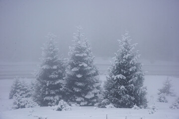 Allphotokz Chimbulak 20170124 5671 D810 S