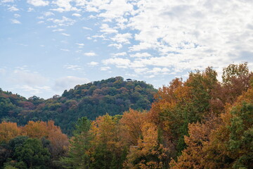 Observation deck on the summit at autumn , Takamatsu city, Kagawa, Shikoku, Japan
