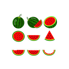 Juicy ripe watermelons, watermelon slices. Vector illustration.