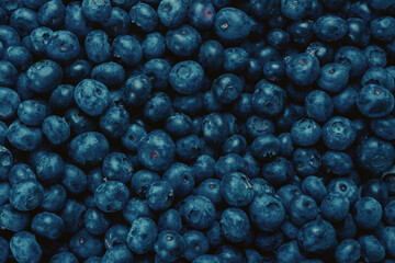Fresh blueberry background.