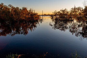 Calm Wetland Waters at Sunset