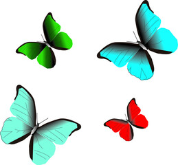 Some Colorful butterfly