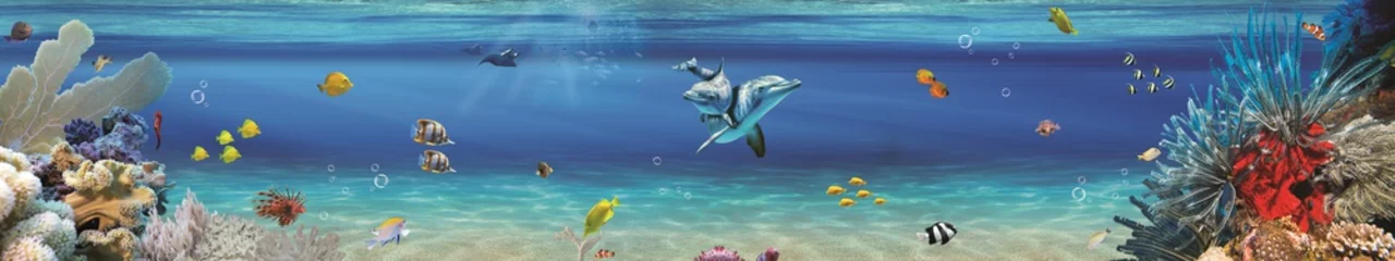 Foto op Plexiglas panoramic underwater © Halit