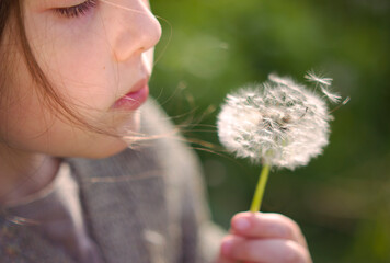 Fototapeta premium pretty little girl with dark hairs is going to blow of the dandelion in her hand - spring windy portrait
