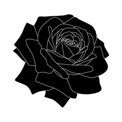 Floral background. Silhouette of a rose on a white background.