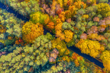 Aerial view of road through colorful autumn forest