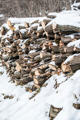 buches coupées pour bois de chauffage sous la neige