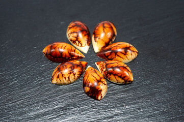 set of chocolate praline isolated on white background, selective focus