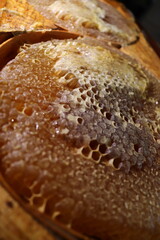 
natural honey is called Karakovan honey in Turkish. close up.