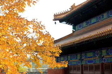 Fototapeta premium Architectural landscape of eaves of ancient temples in China