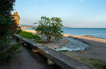 Fototapeta premium Sidewalk by the sea, magnolias are blooming. Blue sea and sky, sunny pebble beach with rare vacationers. The fast river flows into the sea. New Athos, Abkhazia.