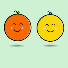 2 cute oranges vector design in yellow and orange