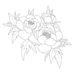 Floral background. A bouquet of peonies on a white background. Silhouette of a bouquet.