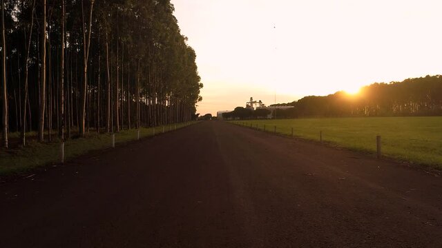 Beautiful entry of making soy, sunlight with silo in the background at sunset