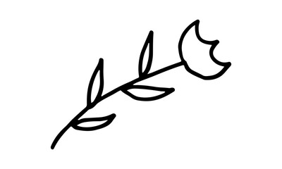 Naklejka premium Doodle illustration of flower. Spring season. Hand drawn simple element. St Vaentines or mothers day greeting card